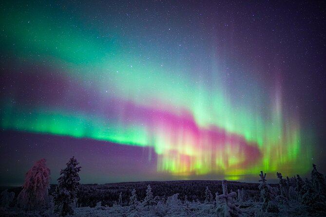 Night Snowshoeing Adventure under the Northern Lights - Midway warmth: Finnish campfire snacks and a guide who builds fire the old way