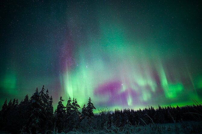 Night Snowshoeing Adventure under the Northern Lights - Northern Lights odds: how your guide improves chances without promising miracles
