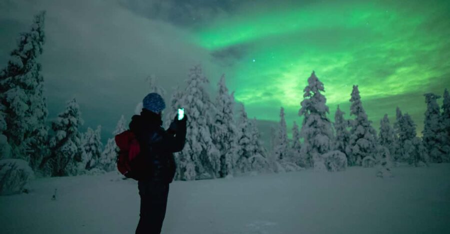 Night Snowshoeing Lapland Experience - Key highlights you should care about