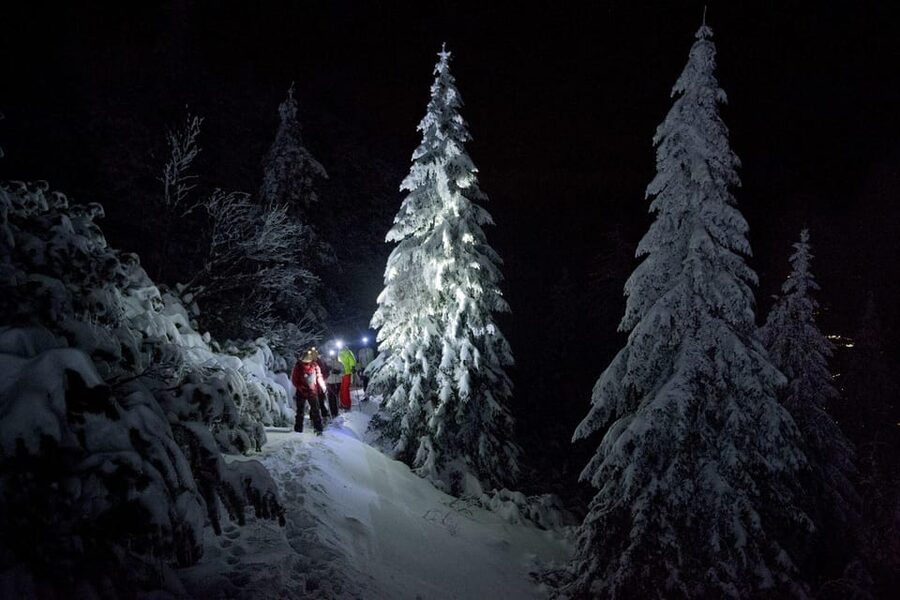 Night Snowshoeing Lapland Experience - Night Snowshoeing in Rovaniemi Under Headlights: The Real Pull