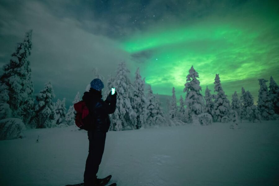Night Snowshoeing Lapland Experience - Pickup, transport, and the benefit of a tiny group