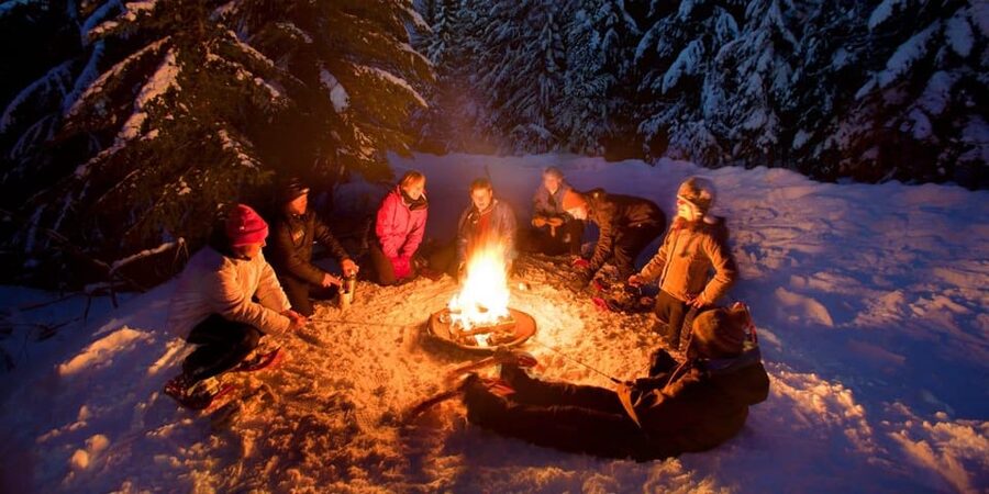 Night Snowshoeing Lapland Experience - Should you book Night Snowshoeing Lapland in Rovaniemi?