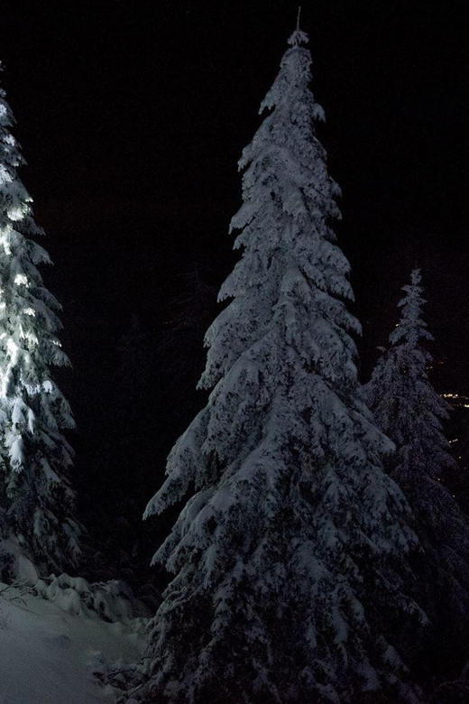 Night Snowshoeing Lapland Experience - The 3-hour plan: where you walk, and why each choice matters