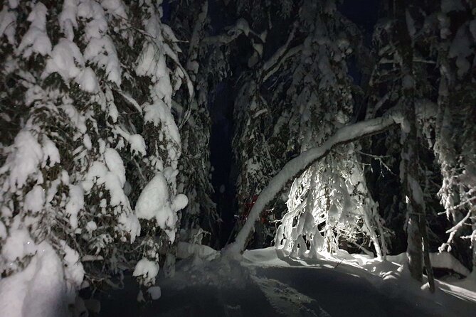 Nocturnal Skiing: Experience the Arctic's Magic - Night skiing in Rovaniemi, what makes it feel Arctic