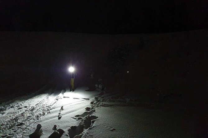 Nocturnal Skiing: Experience the Arctic's Magic - The 2.5 hour flow, from cabin to frozen lake and back