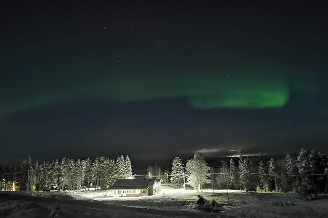 Northern Lights Auroras from Kemi-Tornio with Pickup - Cold reality check: snow walking, group size, and coordination