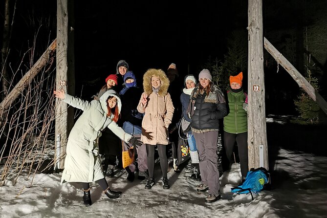 Northern Lights Auroras from Kemi-Tornio with Pickup - Does it work? The success rate story, plus the honest limits