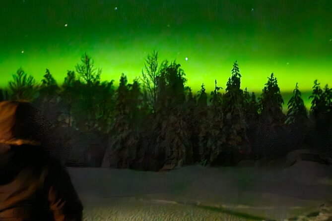 Northern Lights Auroras from Kemi-Tornio with Pickup - About the guides: Marko Vapa and the Marko and Timo factor