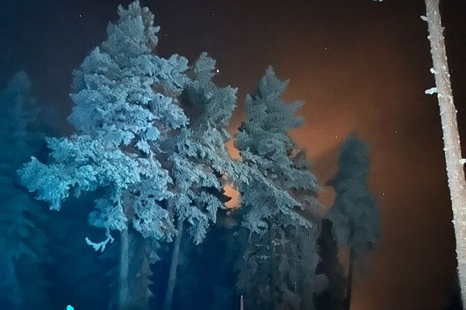 Northern Lights dinner in a Glass Igloo - Price and Value: What $321.13 Buys You in Rovaniemi
