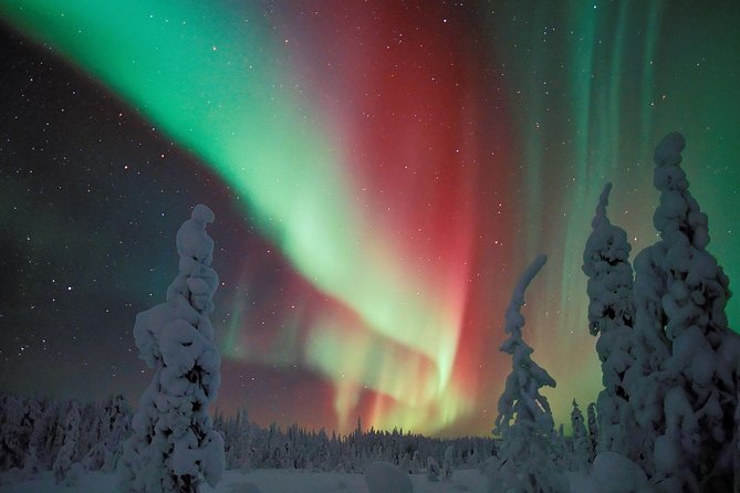 Northern Lights Hunt from Rovaniemi with Folk Tales and Snacks over Campfire - Key things worth knowing before you go