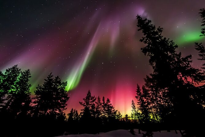 Northern Lights Hunt from Rovaniemi with Folk Tales and Snacks over Campfire - Guide quality matters more than you think, including language