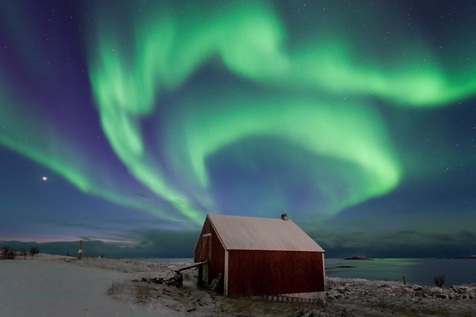 Northern Lights Hunt Including Snacks on Campfire from Rovaniemi - Price and value: is $144.83 per person worth it?