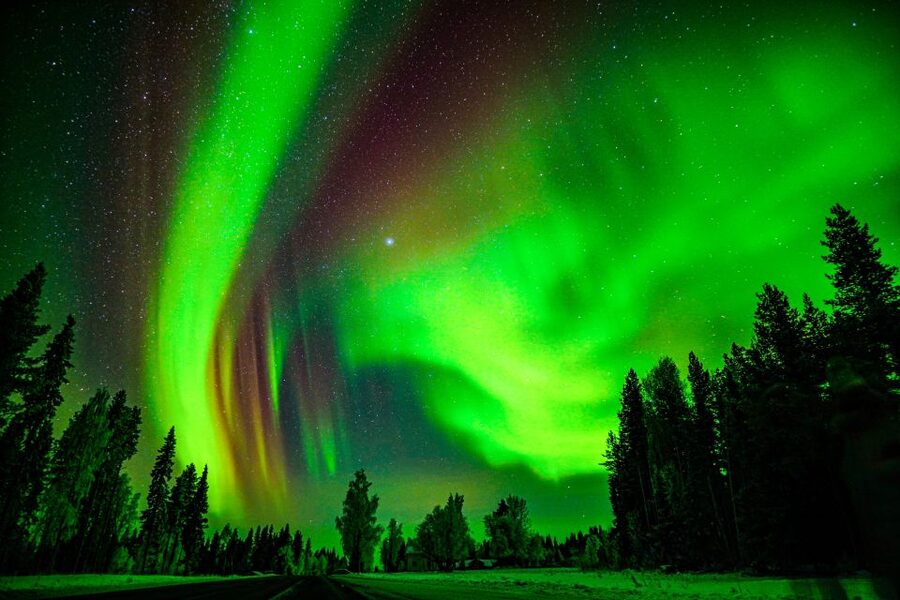 Northern Lights Hunting Adventure in Lapland - Who should book this Aurora hunt in Lapland