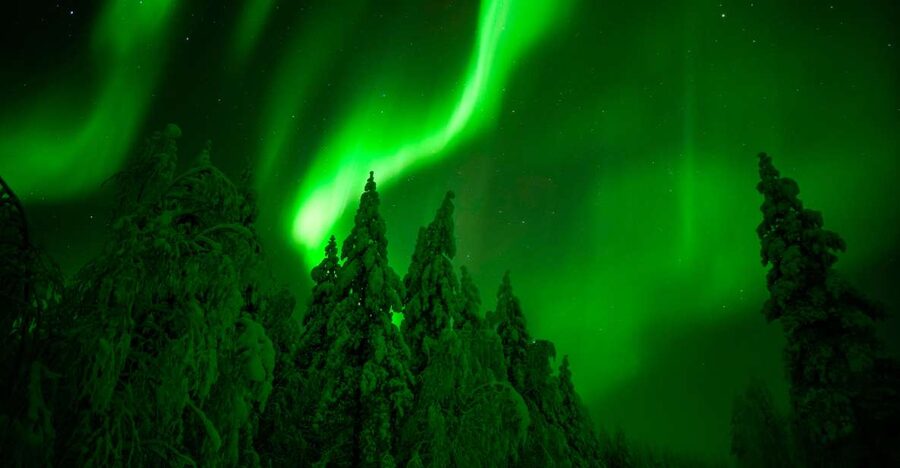 Northern Lights Hunting Adventure in Lapland - Small group of 8, personal guide, and real photo help