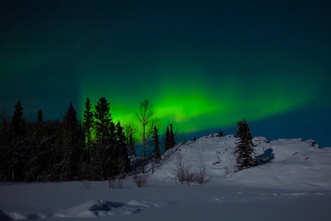 Northern Lights Hunting of Rovaniemi - Aurora Hunting in Rovaniemi, With BBQ and Photo Coaching