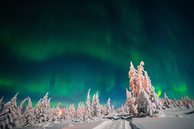 Northern Lights Hunting of Rovaniemi - What You Get for $89.36, and Why It Can Be Good Value