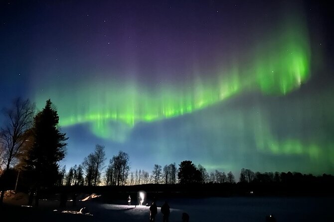 Northern Lights Hunting of Rovaniemi - Group Size, Comfort, and the Small Details That Matter