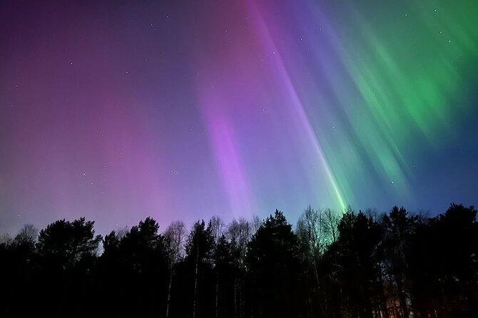 Northern Lights Hunting of Rovaniemi - Timing and the 8:00 pm Start, Where Your Night Actually Begins
