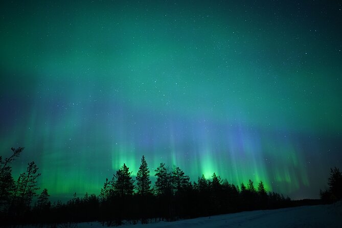 Northern Lights Hunting Photography Tour in Rovaniemi Finland - Key things to know before you go