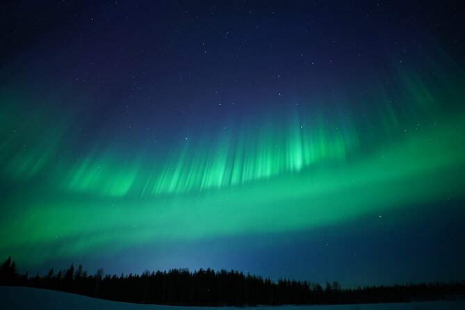 Northern Lights Hunting Photography Tour in Rovaniemi Finland - Pickup, mobile tickets, and local logistics in Rovaniemi