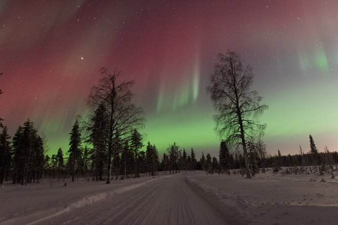 Northern Lights Hunting with a photographer (Only small groups) - A Photographer-Led Aurora Hunt in Rovaniemi
