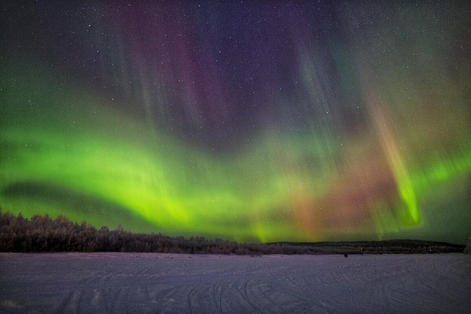 Northern Lights Hunting with Snowmobiles - Snowmobile Driving Through Quiet Lapland Wilderness