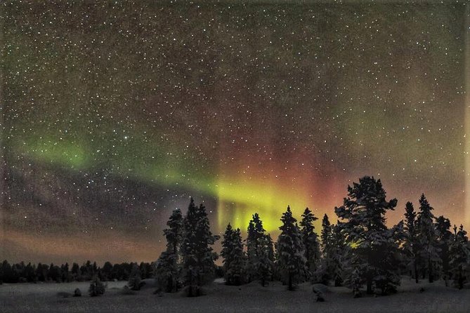 Northern Lights Hunting with Snowmobiles - Your Guide, Your Questions, and the Aurora Forecast Plan
