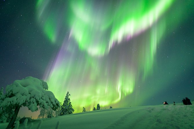 Northern Lights Photography Tour from Rovaniemi - What you’ll notice quickly on this tour