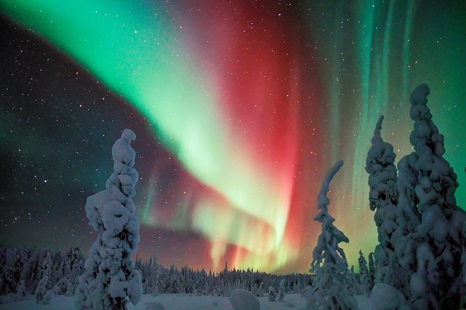 Northern Lights Photography Tour from Rovaniemi - Key highlights you should care about