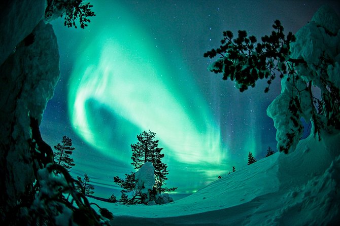 Northern Lights Photography Tour from Rovaniemi - Waiting in the cold: snacks, hot drinks, and staying sane