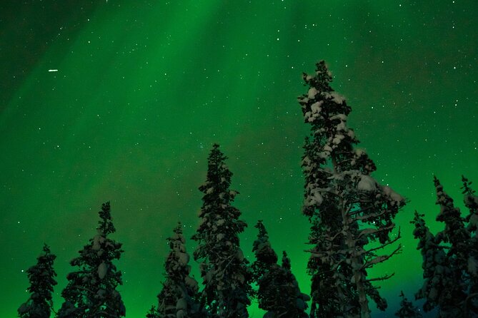 Northern lights Reindeer Sledge Ride - Arctic night start at 7:00 pm, what 3 hours really gives you