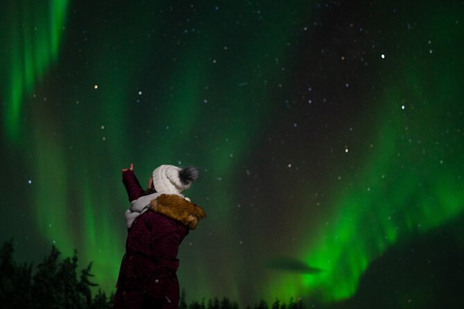 Northern lights Reindeer Sledge Ride - Sami culture and reindeer facts that turn a ride into context