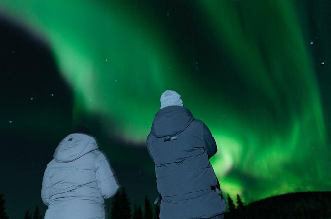 Northern Lights Rovaniemi: Guaranteed Tour with Local Guide - What the tour includes, and what it really buys you