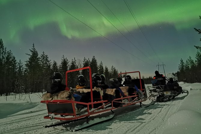 Northern Lights Sledge Ride - Key Points You Should Know Before You Go