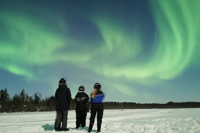 Northern Lights Sledge Ride - Northern Lights Reality Check: What Your Guide Can Do, and What Weather Does