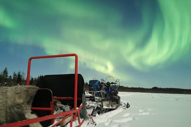 Northern Lights Sledge Ride - Guide Quality That Makes or Breaks the Night