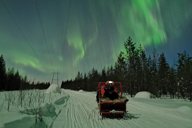 Northern Lights Sledge Ride - Who Should Choose This Sledge Ride in Lapland