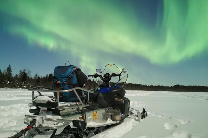 Northern Lights Sledge Ride - Price and Gear Value in Rovaniemi Winter
