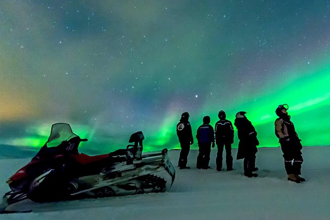 Northern Lights Snowmobile Safari from Rovaniemi with Campfire Picnic - Key Things You’ll Notice Before You Go