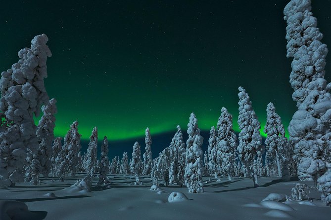 Northern Lights Snowmobile Safari from Rovaniemi with Campfire Picnic - Pickup, Base Setup, and What to Expect Before You Ride