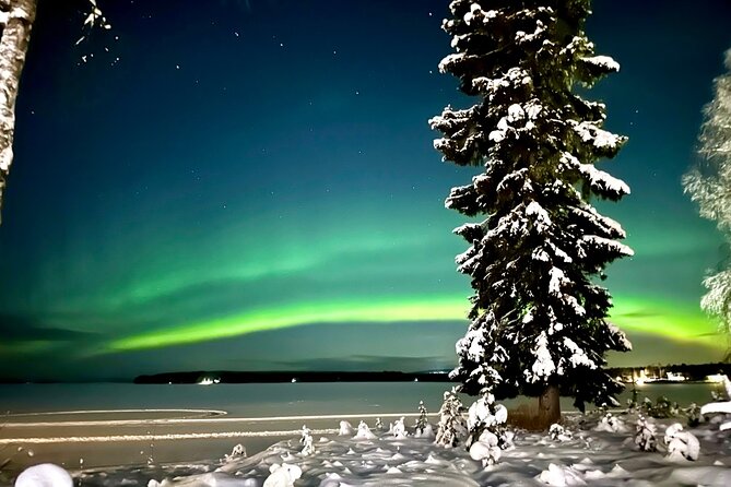 Northern Lights Tour Snowmobile Driving - Key Points Worth Knowing