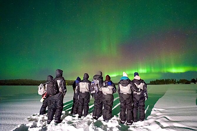 Northern Lights Tour Snowmobile Driving - Meeting Point at Pekankatu 3, Plus Pickup Within 10 km
