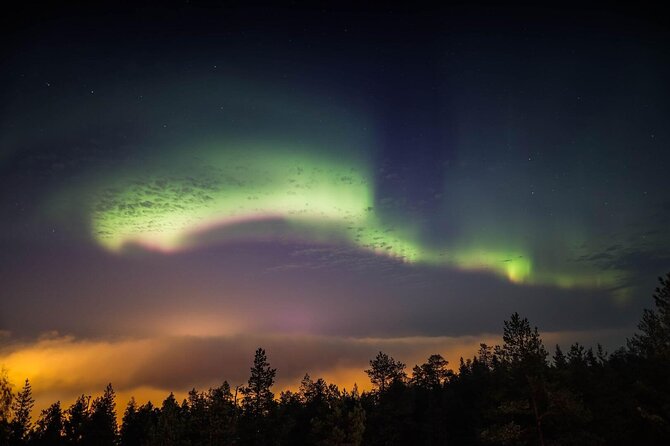 Northern Lights Tour with BBQ and drinks - What the Reviews Get Right: Guide Quality and the Value of Safety