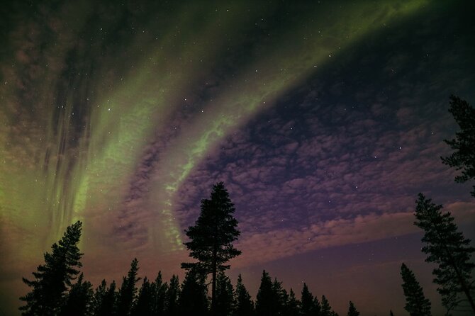 Northern Lights Tour with BBQ and drinks - Campfire BBQ, Hot Drinks, and the Stories That Keep You Warm