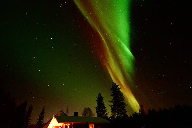 Northern Lights Trip to a Magical Place in Lapland - Lapland at 7 pm: why the timing matters