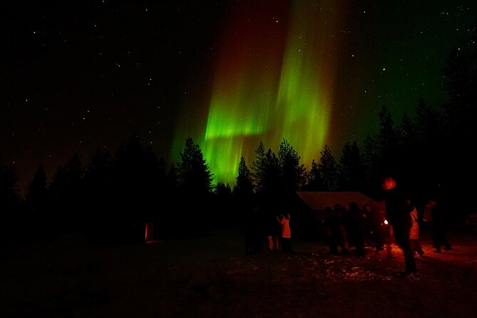 Northern Lights Trip to a Magical Place in Lapland - Viewing the aurora from a high spot away from city lights