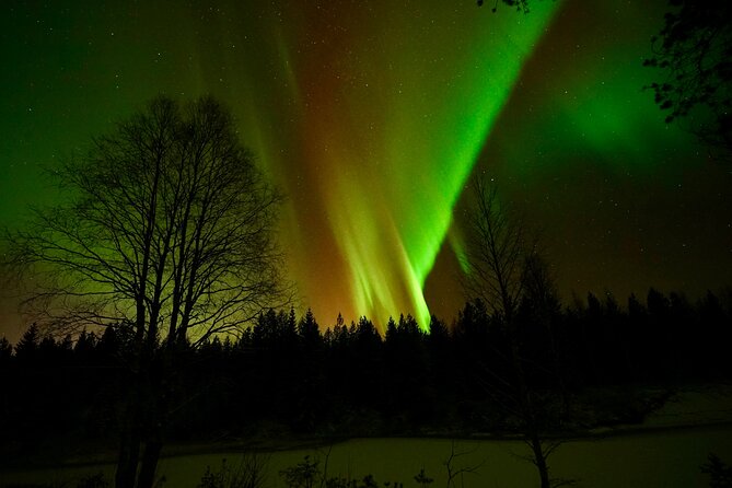 Northern Lights Trip to a Magical Place in Lapland - Price and value: is $119.09 actually worth it?