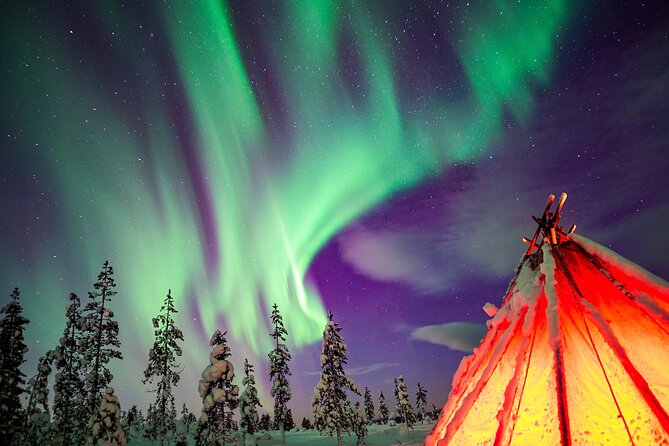 Northern Lights Wilderness Small-Group Tour from Rovaniemi - Key things that make this Northern Lights tour work