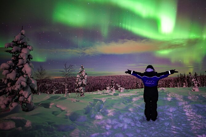 Northern Lights Wilderness Small-Group Tour from Rovaniemi - Why the Aurora Hunt Starts With Weather, Not Wishful Thinking