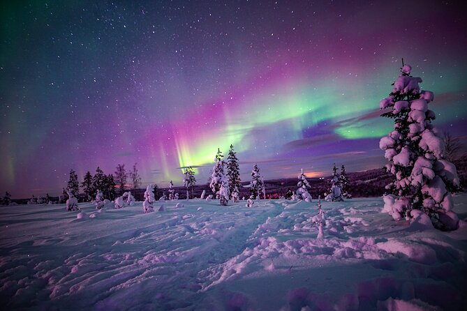 Northern Lights Wilderness Small-Group Tour from Rovaniemi - Photo Download Next Day: The Pro Camera Advantage, With One Caveat